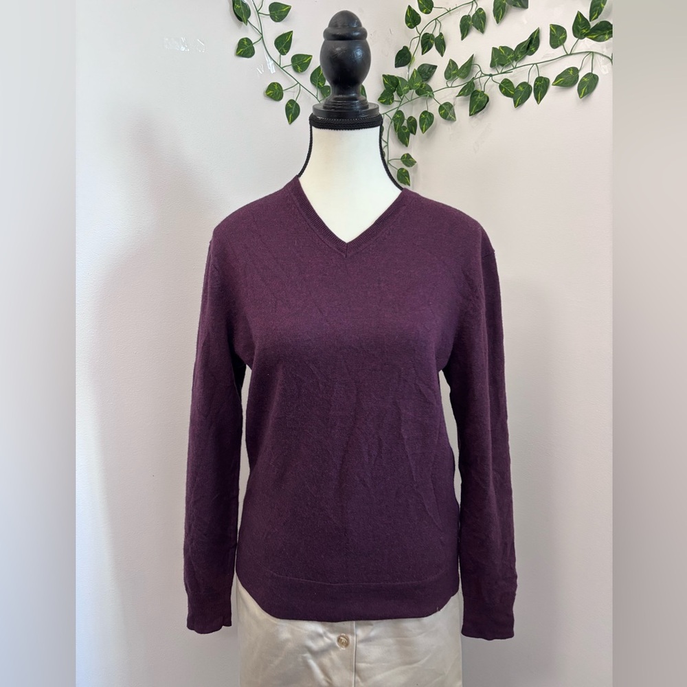 Black Brown 1826 Sweater Mens Small Burgundy Extrafine Merino Wool Vneck Sweater